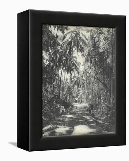 Road Near Colombo, Ceylon, February 1912-English Photographer-Framed Premier Image Canvas