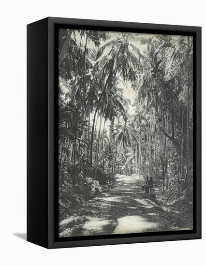 Road Near Colombo, Ceylon, February 1912-English Photographer-Framed Premier Image Canvas