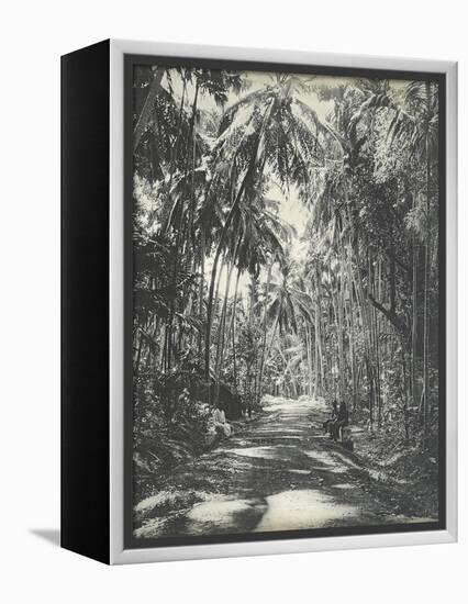 Road Near Colombo, Ceylon, February 1912-English Photographer-Framed Premier Image Canvas