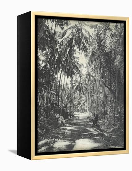 Road Near Colombo, Ceylon, February 1912-English Photographer-Framed Premier Image Canvas