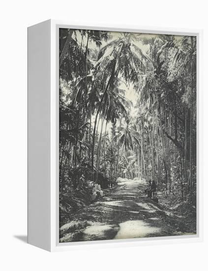 Road Near Colombo, Ceylon, February 1912-English Photographer-Framed Premier Image Canvas