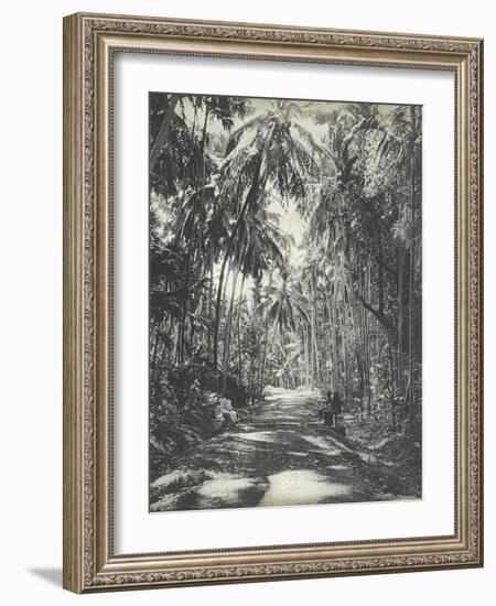 Road Near Colombo, Ceylon, February 1912-English Photographer-Framed Giclee Print