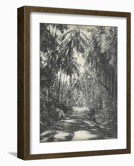 Road Near Colombo, Ceylon, February 1912-English Photographer-Framed Giclee Print