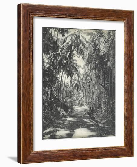 Road Near Colombo, Ceylon, February 1912-English Photographer-Framed Giclee Print