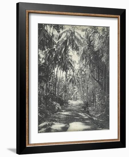 Road Near Colombo, Ceylon, February 1912-English Photographer-Framed Giclee Print