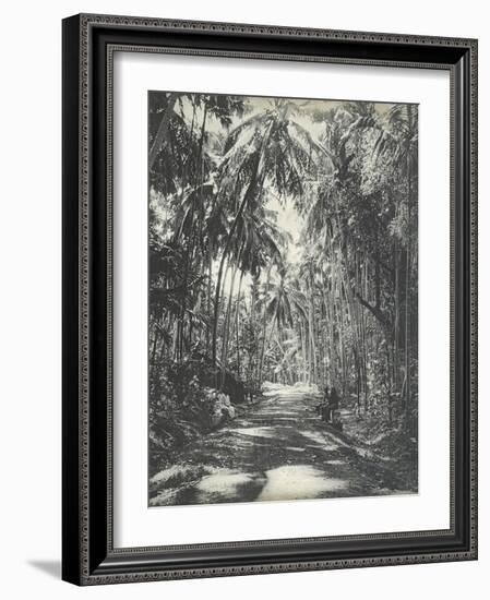 Road Near Colombo, Ceylon, February 1912-English Photographer-Framed Giclee Print