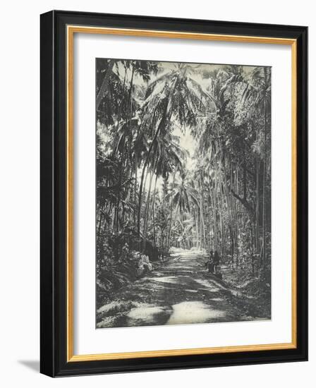 Road Near Colombo, Ceylon, February 1912-English Photographer-Framed Giclee Print