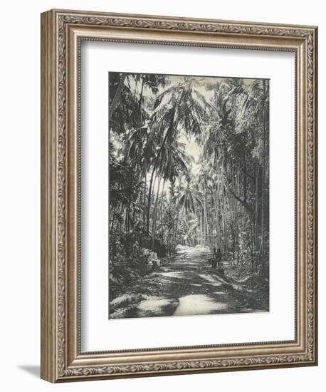 Road Near Colombo, Ceylon, February 1912-English Photographer-Framed Giclee Print