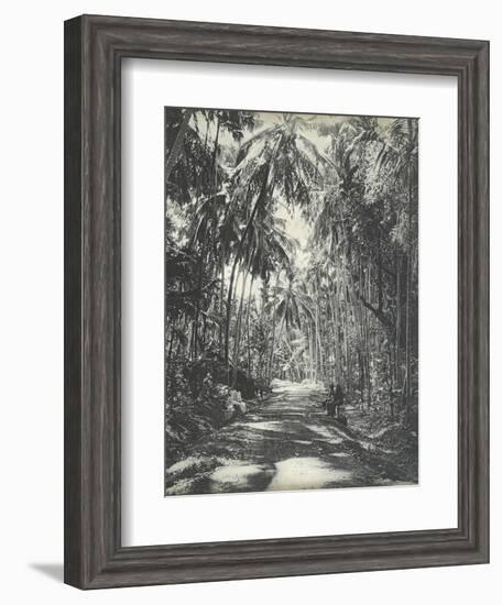 Road Near Colombo, Ceylon, February 1912-English Photographer-Framed Giclee Print