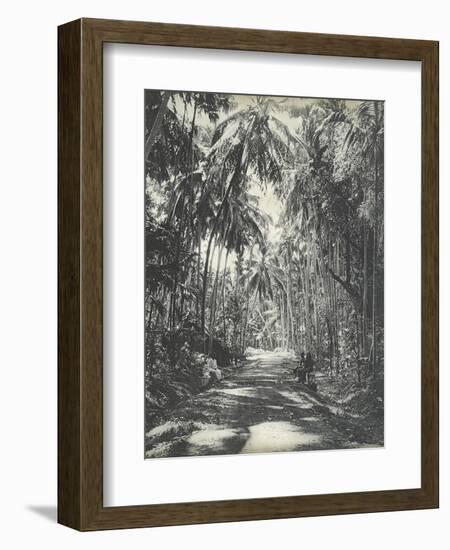 Road Near Colombo, Ceylon, February 1912-English Photographer-Framed Giclee Print