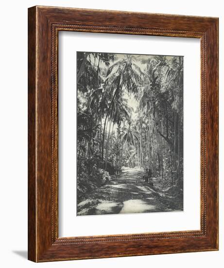 Road Near Colombo, Ceylon, February 1912-English Photographer-Framed Giclee Print