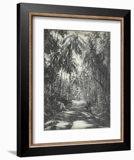 Road Near Colombo, Ceylon, February 1912-English Photographer-Framed Giclee Print