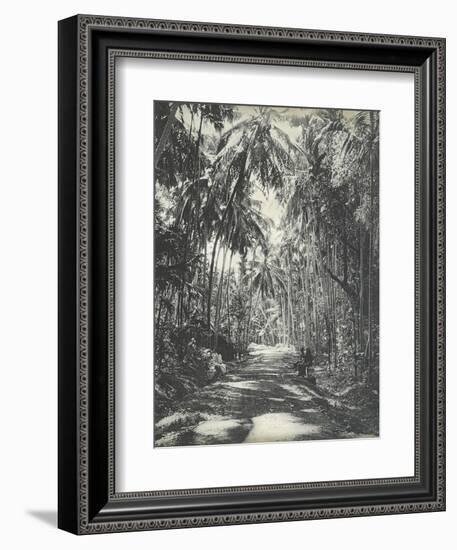 Road Near Colombo, Ceylon, February 1912-English Photographer-Framed Giclee Print