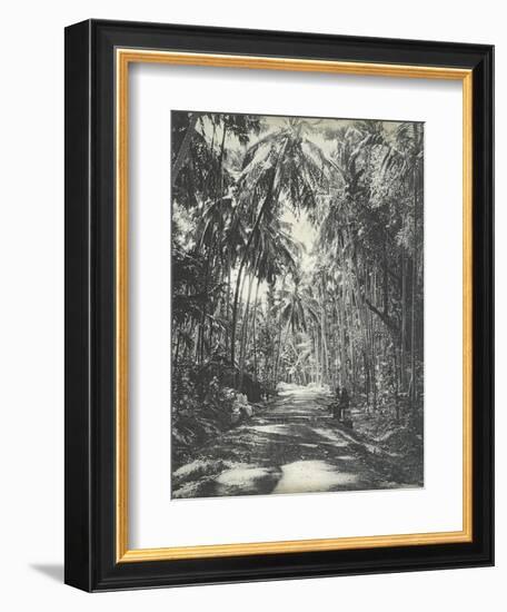 Road Near Colombo, Ceylon, February 1912-English Photographer-Framed Giclee Print