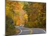 Road Nr. Lake George, New York State, USA-Demetrio Carrasco-Mounted Photographic Print