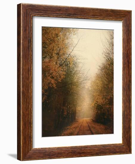 Road of Mysteries I-Amy Melious-Framed Art Print