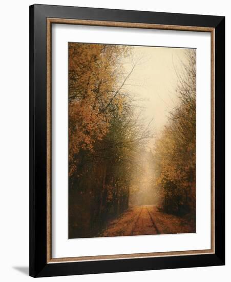 Road of Mysteries I-Amy Melious-Framed Art Print