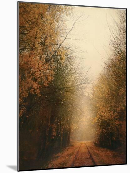 Road of Mysteries I-Amy Melious-Mounted Art Print