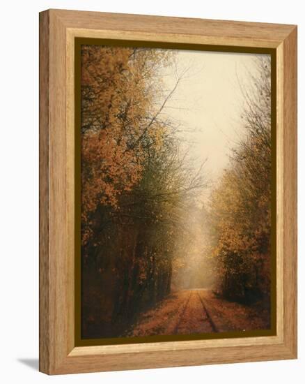 Road of Mysteries I-Amy Melious-Framed Stretched Canvas