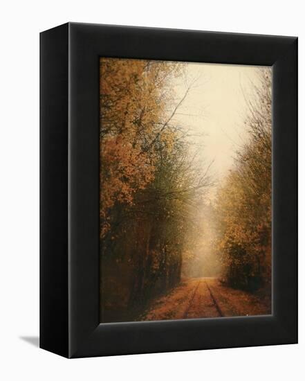 Road of Mysteries I-Amy Melious-Framed Stretched Canvas