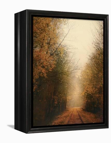 Road of Mysteries I-Amy Melious-Framed Stretched Canvas