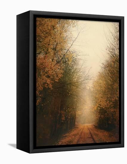 Road of Mysteries I-Amy Melious-Framed Stretched Canvas