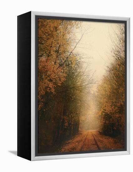 Road of Mysteries I-Amy Melious-Framed Stretched Canvas