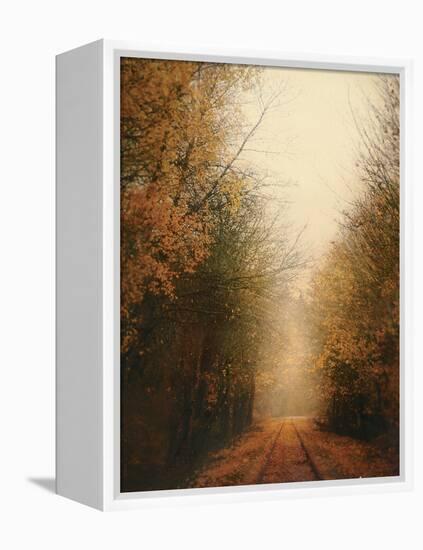 Road of Mysteries I-Amy Melious-Framed Stretched Canvas