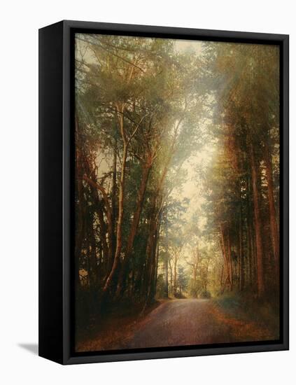 Road of Mysteries II-Amy Melious-Framed Stretched Canvas