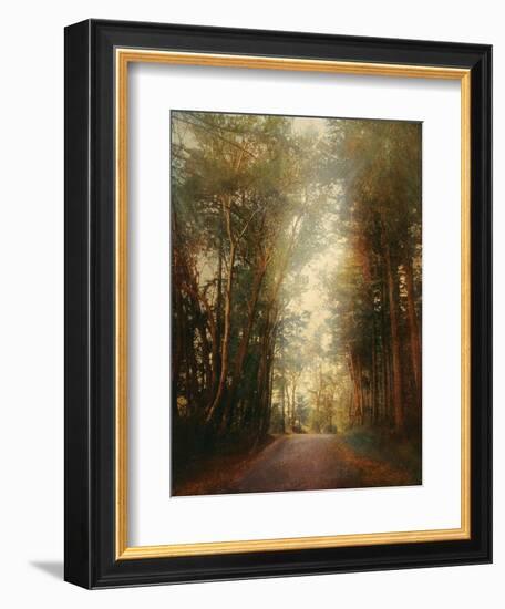 Road of Mysteries II-Amy Melious-Framed Art Print