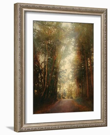 Road of Mysteries II-Amy Melious-Framed Art Print