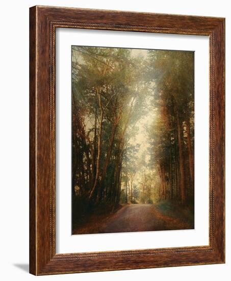 Road of Mysteries II-Amy Melious-Framed Art Print