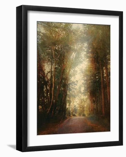 Road of Mysteries II-Amy Melious-Framed Art Print