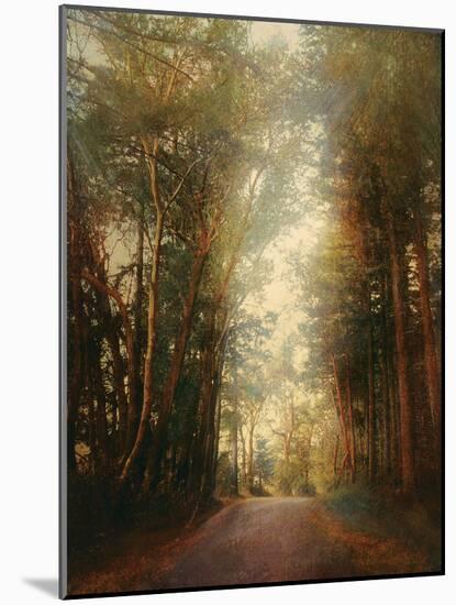 Road of Mysteries II-Amy Melious-Mounted Art Print