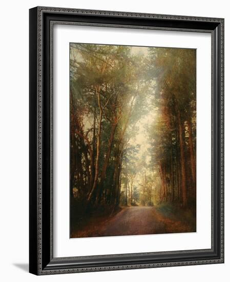 Road of Mysteries II-Amy Melious-Framed Art Print