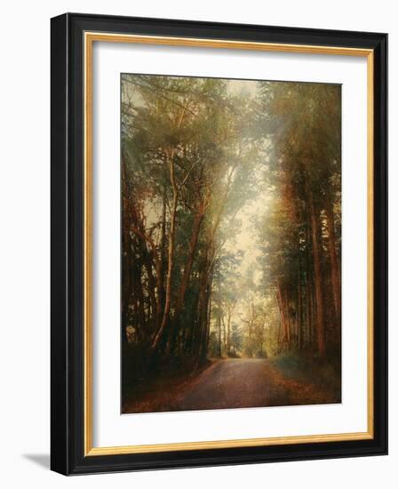 Road of Mysteries II-Amy Melious-Framed Art Print