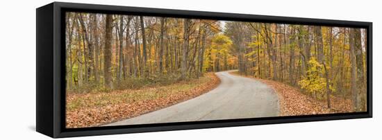 Road Passing Through a Forest, Brown County State Park, Brown County, Indiana, USA-null-Framed Premier Image Canvas