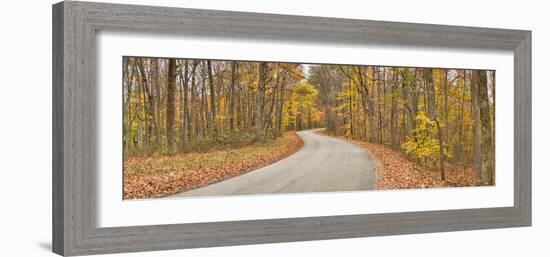 Road Passing Through a Forest, Brown County State Park, Brown County, Indiana, USA-null-Framed Photographic Print