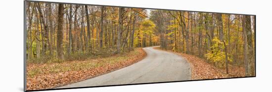 Road Passing Through a Forest, Brown County State Park, Brown County, Indiana, USA-null-Mounted Photographic Print