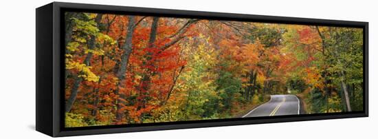 Road Passing Through a Forest, U.S. Route 41, Keweenaw County, Keweenaw Peninsula, Michigan, USA-null-Framed Premier Image Canvas