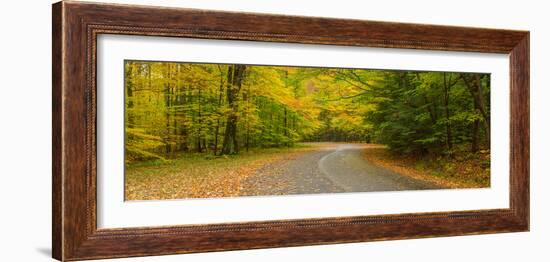 Road passing through a park, Chestnut Ridge County Park, Orchard Park, Erie County, New York Sta...-null-Framed Photographic Print