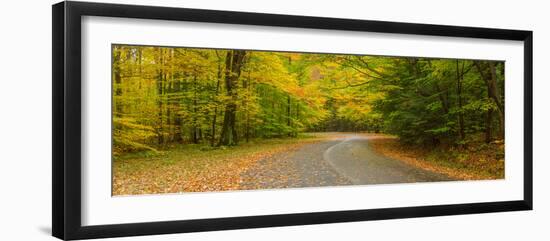 Road passing through a park, Chestnut Ridge County Park, Orchard Park, Erie County, New York Sta...-null-Framed Photographic Print