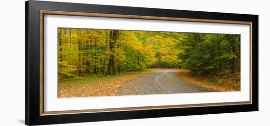 Road passing through a park, Chestnut Ridge County Park, Orchard Park, Erie County, New York Sta...-null-Framed Photographic Print