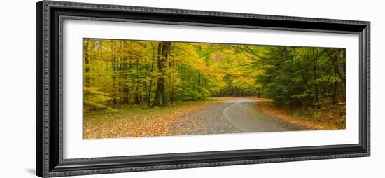 Road passing through a park, Chestnut Ridge County Park, Orchard Park, Erie County, New York Sta...-null-Framed Photographic Print