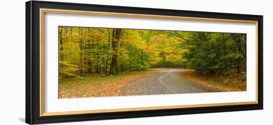 Road passing through a park, Chestnut Ridge County Park, Orchard Park, Erie County, New York Sta...-null-Framed Photographic Print