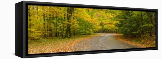 Road passing through a park, Chestnut Ridge County Park, Orchard Park, Erie County, New York Sta...-null-Framed Premier Image Canvas
