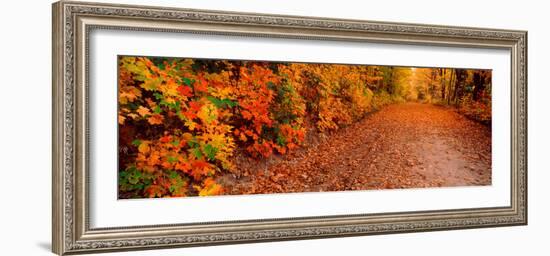 Road Passing Through Autumn Forest, Traverse City, Grand Traverse County, Michigan, USA-null-Framed Photographic Print