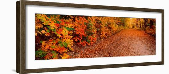 Road Passing Through Autumn Forest, Traverse City, Grand Traverse County, Michigan, USA-null-Framed Photographic Print