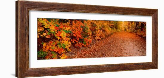 Road Passing Through Autumn Forest, Traverse City, Grand Traverse County, Michigan, USA-null-Framed Photographic Print