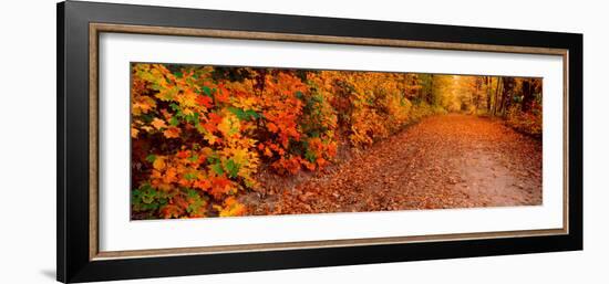 Road Passing Through Autumn Forest, Traverse City, Grand Traverse County, Michigan, USA-null-Framed Photographic Print